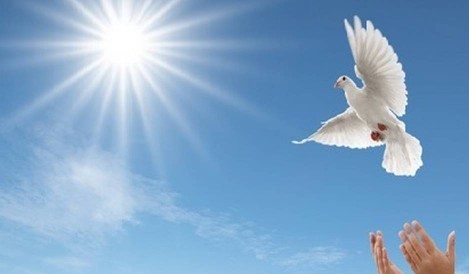 La paz que sobrepasa todo entendimiento | Por qué seguir a Jesus. com